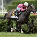 Rhetorical- West Point Stakes - Saratoga - Barbara Livingston / Daily Racing Form