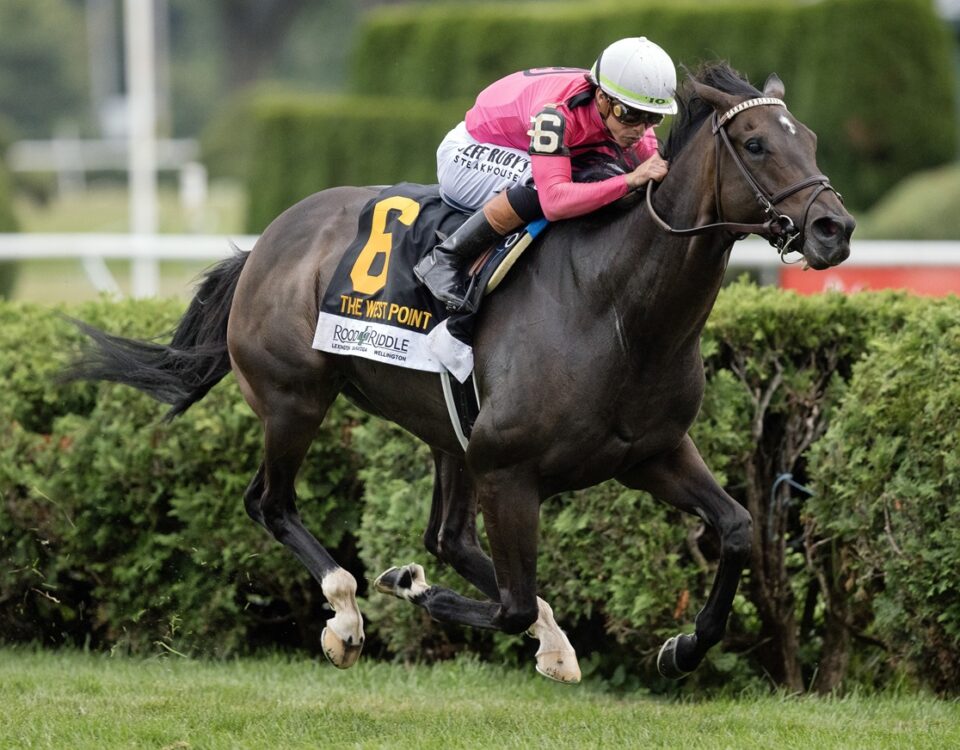 Rhetorical- West Point Stakes - Saratoga - Barbara Livingston / Daily Racing Form