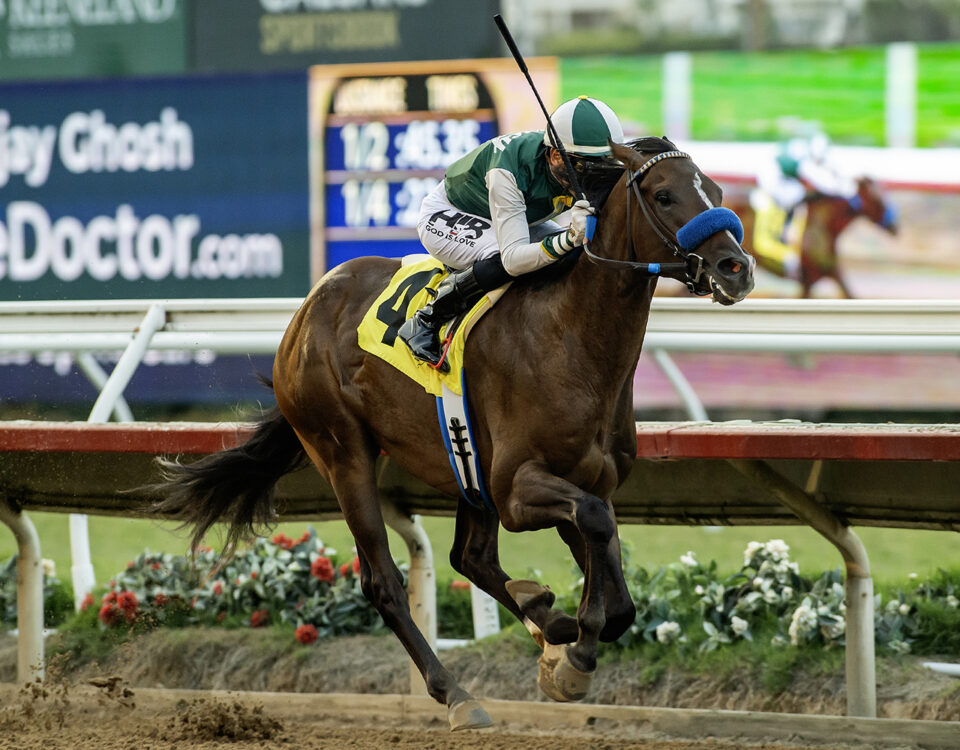 Sammy Davis - $100,000 Graduation Stakes - Del Mar - Benoit Photo