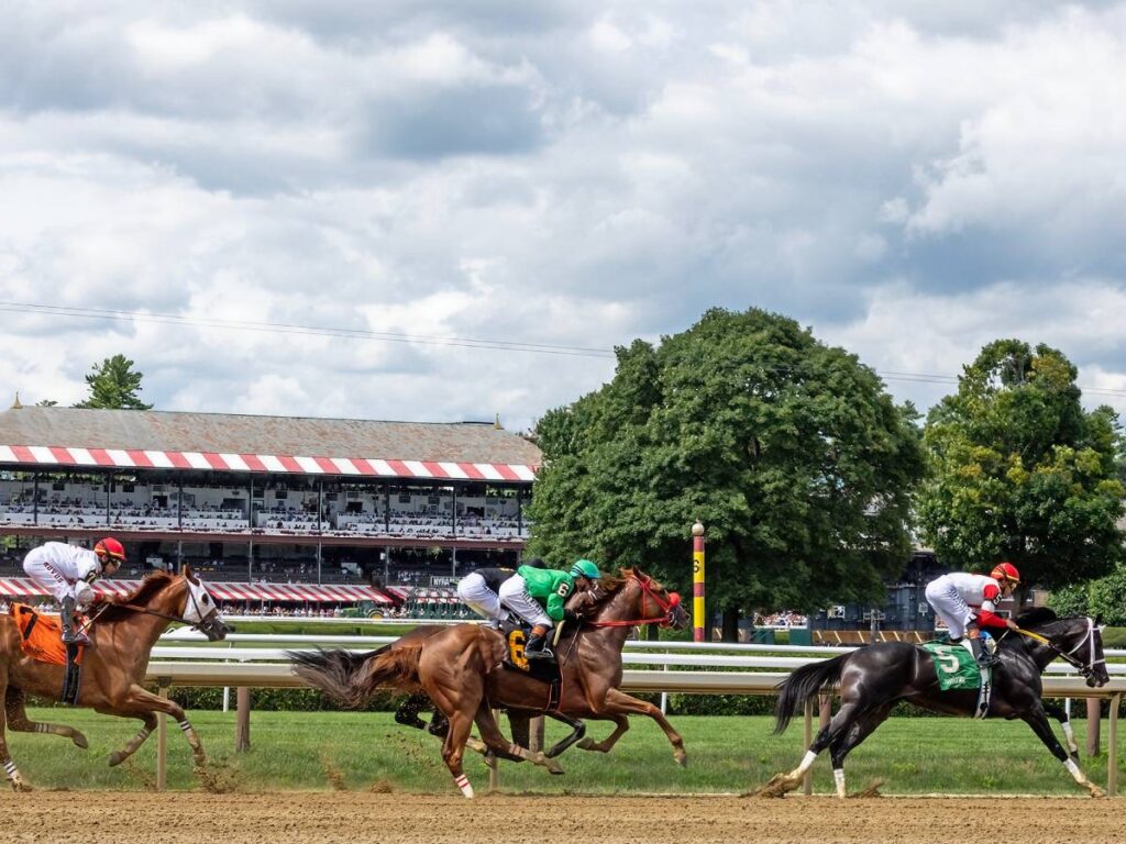 Saratoga Backstretch - Debra A. Roma - Daily Racing Form