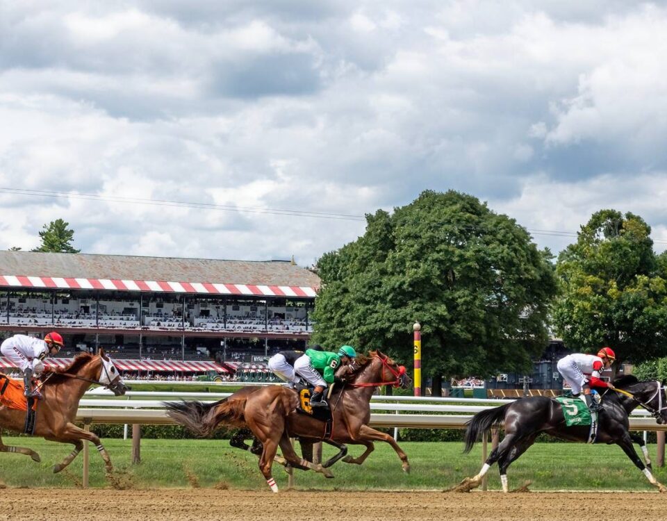Saratoga Backstretch - Debra A. Roma - Daily Racing Form