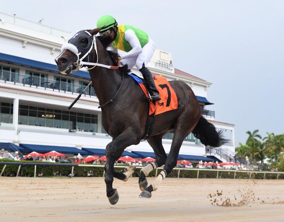 Shaq Diesel - the Benny the Bull - credit Ryan Thompson - Coglianese Photo