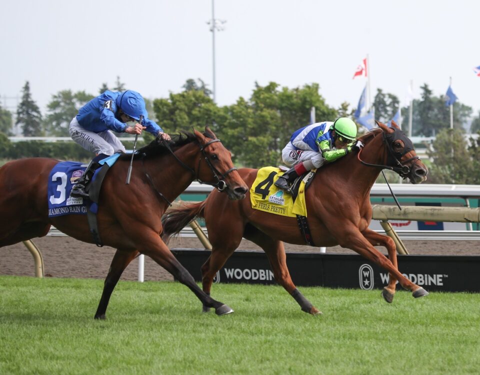 She Feels Pretty - E.P. Taylor (G1T) - Woodbine - credit: Julie Wright / Daily Racing Form