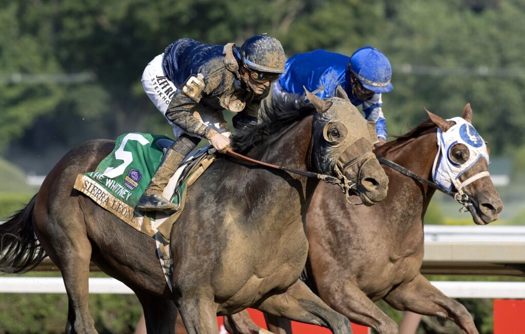 Sierra Leone - Whitney G1 - Barbara D. Livingston - Daily Racing Form
