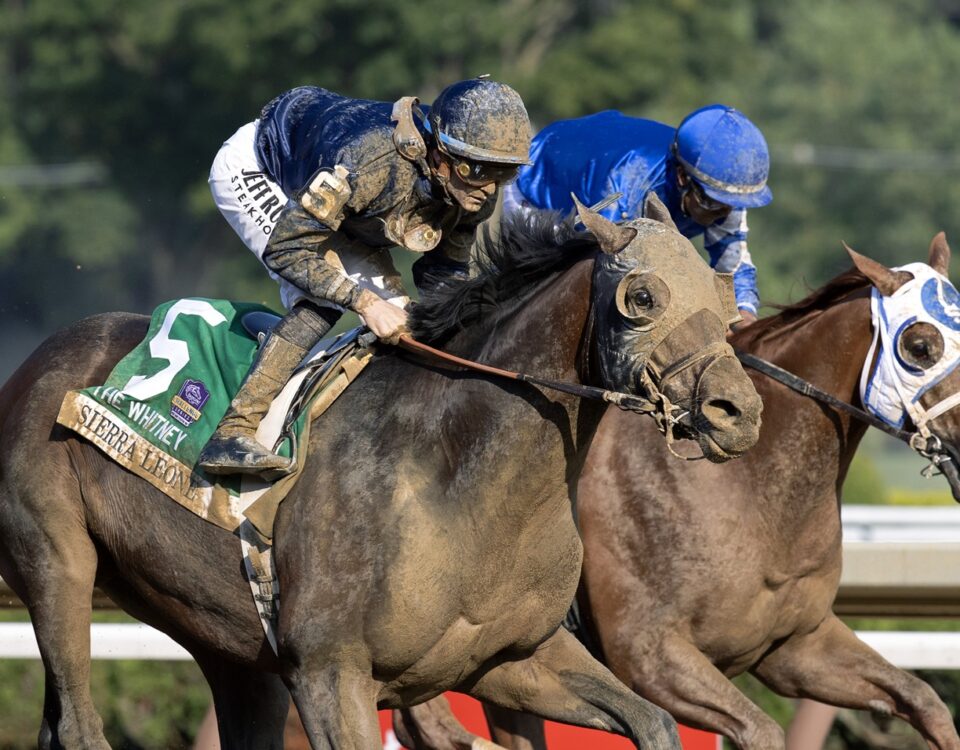Sierra Leone - Whitney G1 - Barbara D. Livingston - Daily Racing Form
