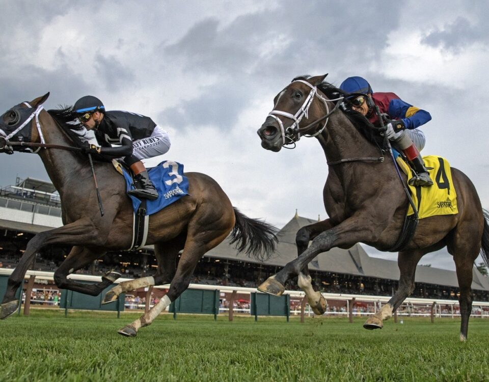 Snow Face Princess - Saratoga - credit: Barbara D. Livingston - Daily Racing Form