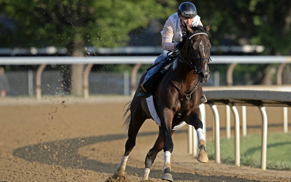 Sovereignty - Barbara D. Livingston - Daily Racing Form