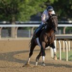 Sovereignty - Barbara D. Livingston - Daily Racing Form
