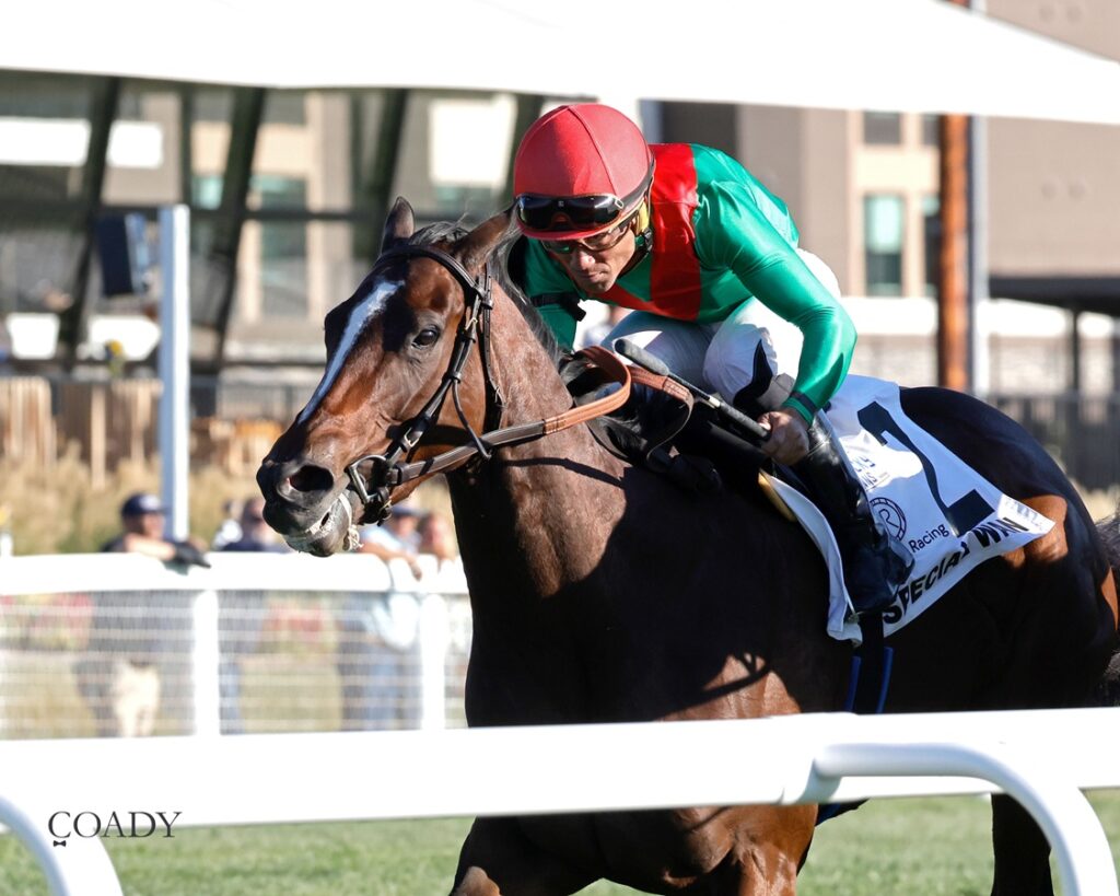 Special Wan - Ladies Turf G3 - Coady Media