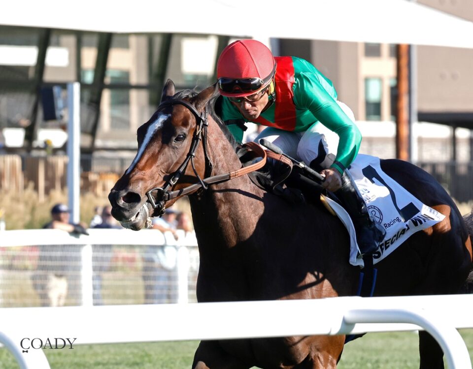 Special Wan - Ladies Turf G3 - Coady Media