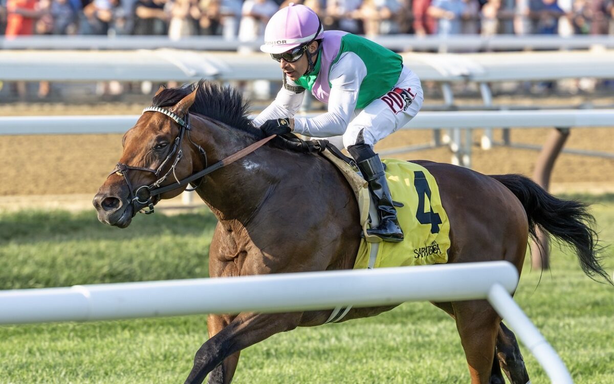 Spiced Up - Mahony G3T - credito: Debbie Roma / Daily Racing Form