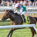 Spiced Up - Mahony G3T - credito: Debbie Roma / Daily Racing Form