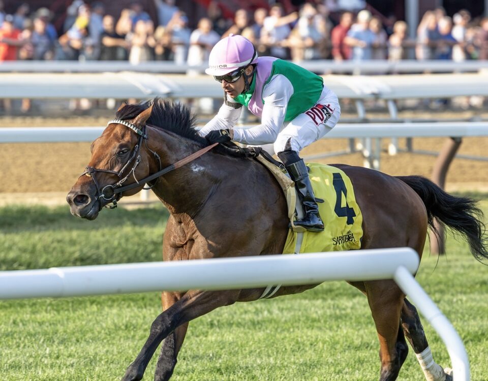 Spiced Up - Mahony G3T - credito: Debbie Roma / Daily Racing Form