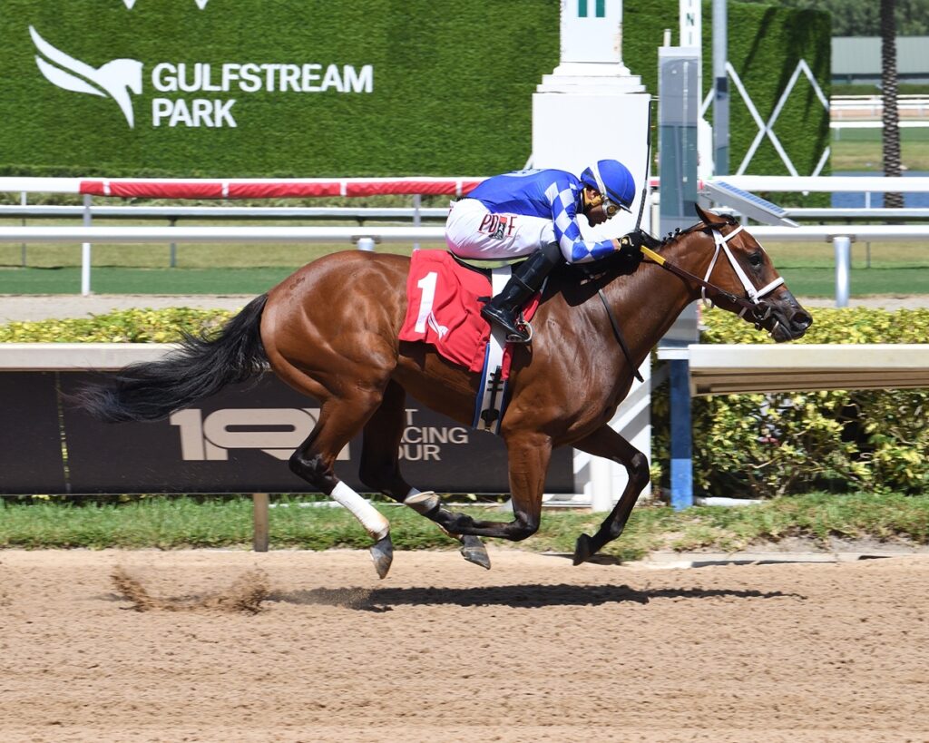 Tessellate - Gulfstream Park - credito Ryan Thompson / Coglianese Photo