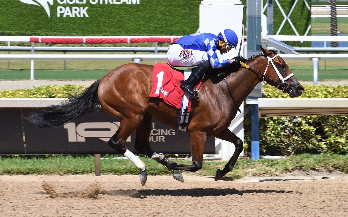 Tessellate - Gulfstream Park - credito Ryan Thompson / Coglianese Photo