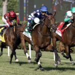Test Score - Barbara D. Livingston - Daily Racing Form