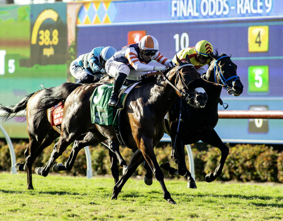 The Padre - Grade II, $300,000 Del Mar Derby - Del Mar CA. © BENOIT PHOTO