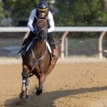 Thorpedo Anna - Photo: Barbara D. Livingston - Daily Racing Form