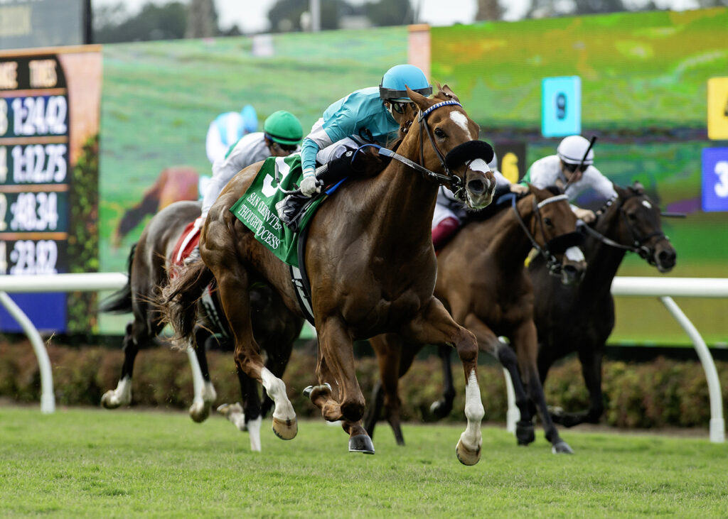 Thought Process (posible aspirante a las Del Mar Oaks G1T) Del Mar CA. - © BENOIT PHOTO