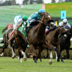 Thought Process (posible aspirante a las Del Mar Oaks G1T) Del Mar CA. - © BENOIT PHOTO
