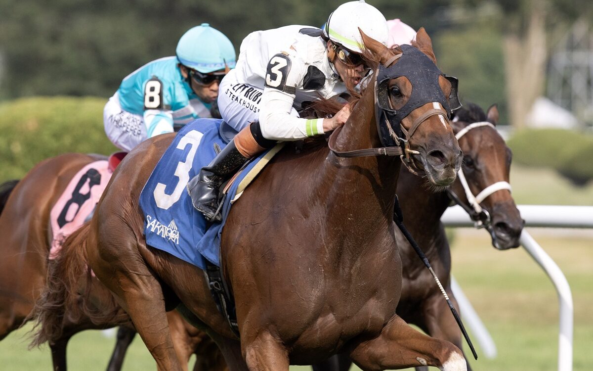 Trail of Gold - Foto: Barbara D. Livingston - Daily Racing Form