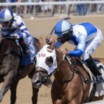 Vehemente - Saratoga - Barbara D. Livingston - Daily Racing Form