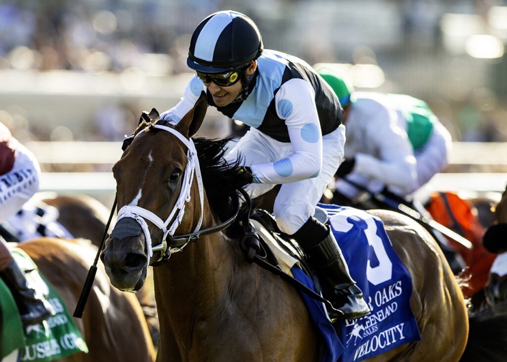 Velocity - Del Mar Oaks G1 - Benoit Photo