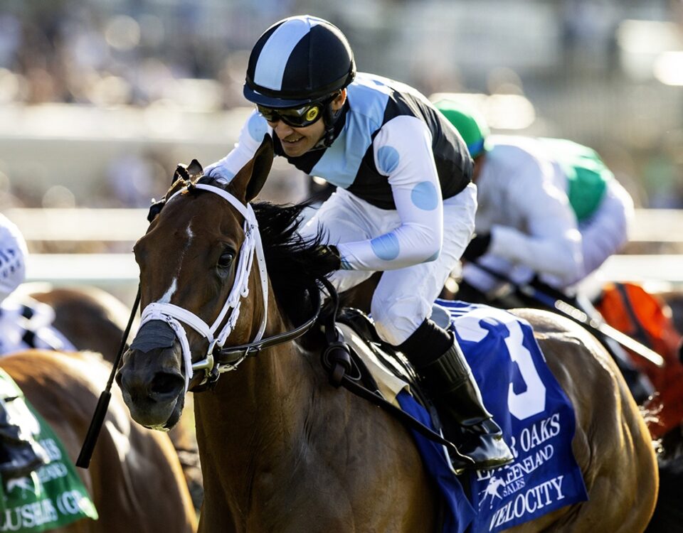 Velocity - Del Mar Oaks G1 - Benoit Photo