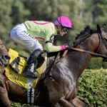 Flavien Prat ha sido suspendido. - Barbara D. Livingston - Daily Racing Form