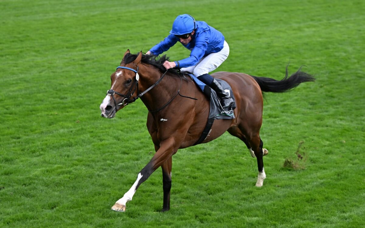 Ombudsman - Photo: focusonracing.com