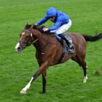 Ombudsman - Photo: focusonracing.com