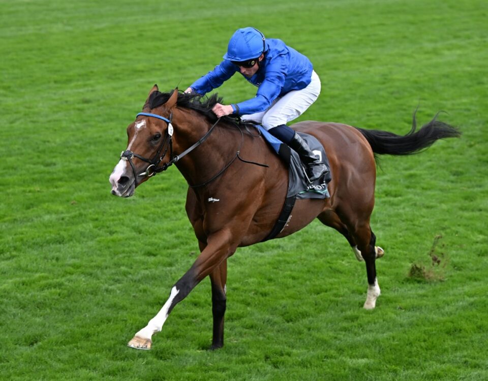 Ombudsman - Photo: focusonracing.com