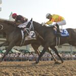 Runaway Again - 90th running of the $400,000 Prince of Wales Stakes - Michael Burns Photo