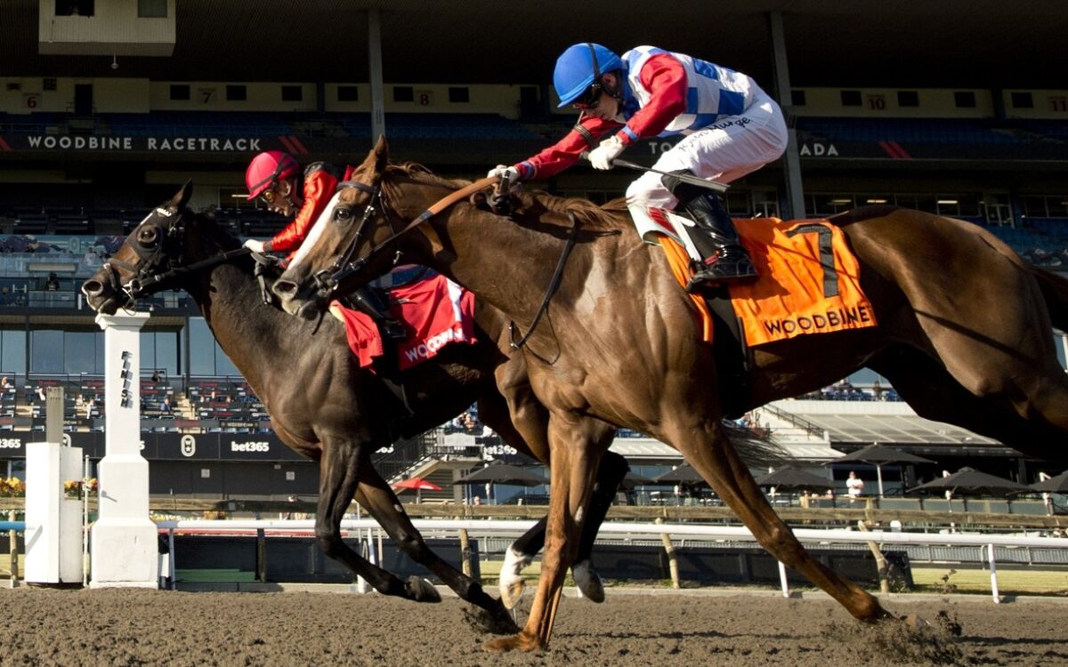 Cool Kiss - Grade 3 Durham Cup Stakes - Woodbine - Michael Burns Photo