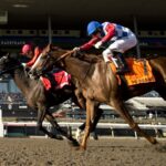 Cool Kiss - Grade 3 Durham Cup Stakes - Woodbine - Michael Burns Photo
