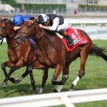 Argos - Summer Stakes G1 - Julie Wright / Daily Racing Form