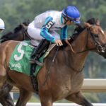 Book´'em Danno - Barbara D. Livingston/Daily Racing Form