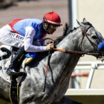 Brant - Grade I, $300,000 Del Mar Futurity - Benoit Photo