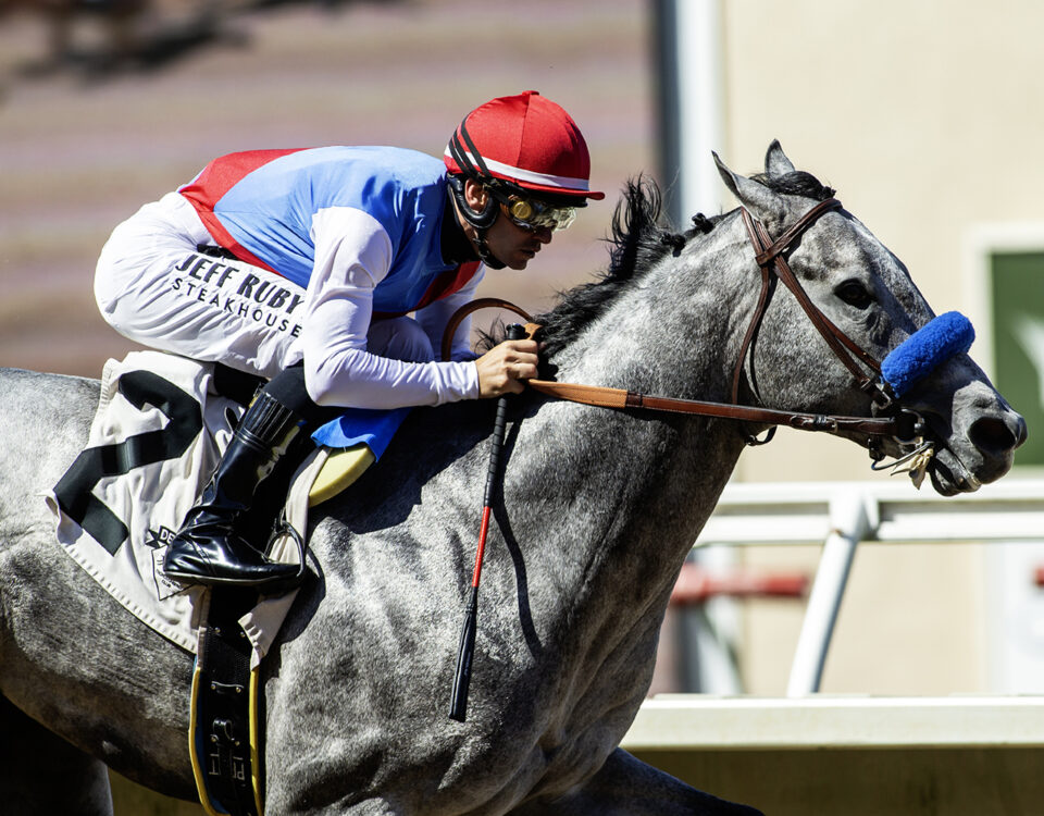 Brant - Grade I, $300,000 Del Mar Futurity - Benoit Photo