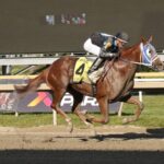 Carousel Queen - Imply Stakes - Parx Racing. Photo by Barbara Weidl/EQUI-PHOTO.