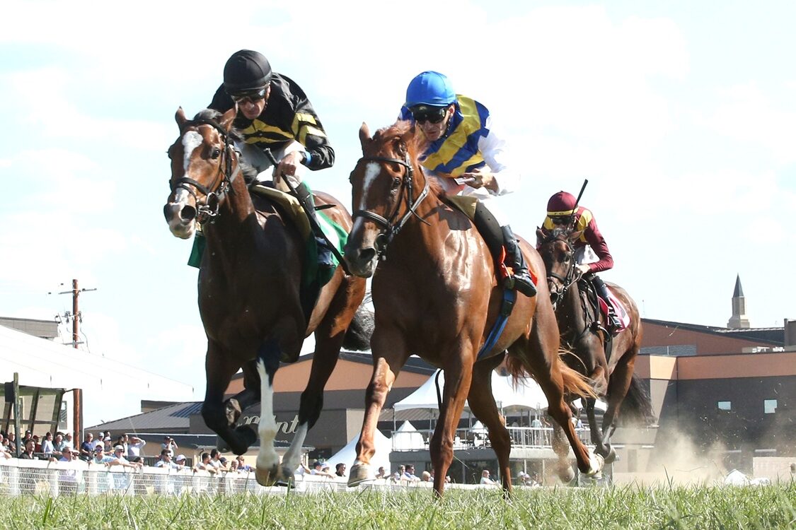 Daisy Flyer (outside) - Coady Media