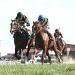 Daisy Flyer (outside) - Coady Media