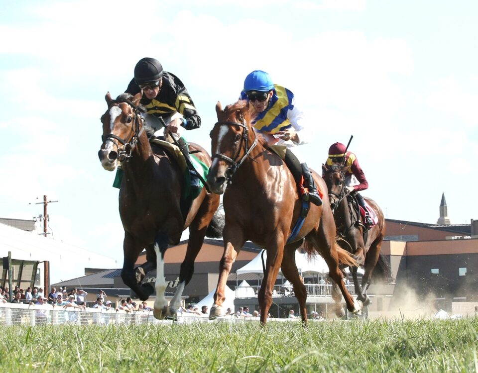 Daisy Flyer (outside) - Coady Media