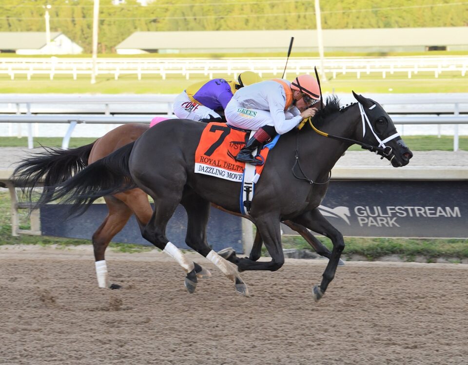 Dazzling Move - Royal Delta Stakes G3 - Lauren King/Coglianese Photo