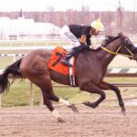 Maryland Jockey Club - Laurel Park