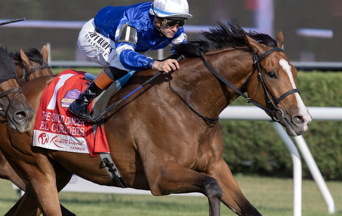 El Cordobes - Sword Dancer G1T - Barbara D. Livingston / Daily Racing Form