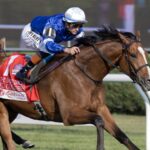 El Cordobes - Sword Dancer G1T - Barbara D. Livingston / Daily Racing Form