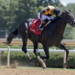 Ewing - Saratoga Special G2 - Barbara D. Livingston / Daily Racing Form