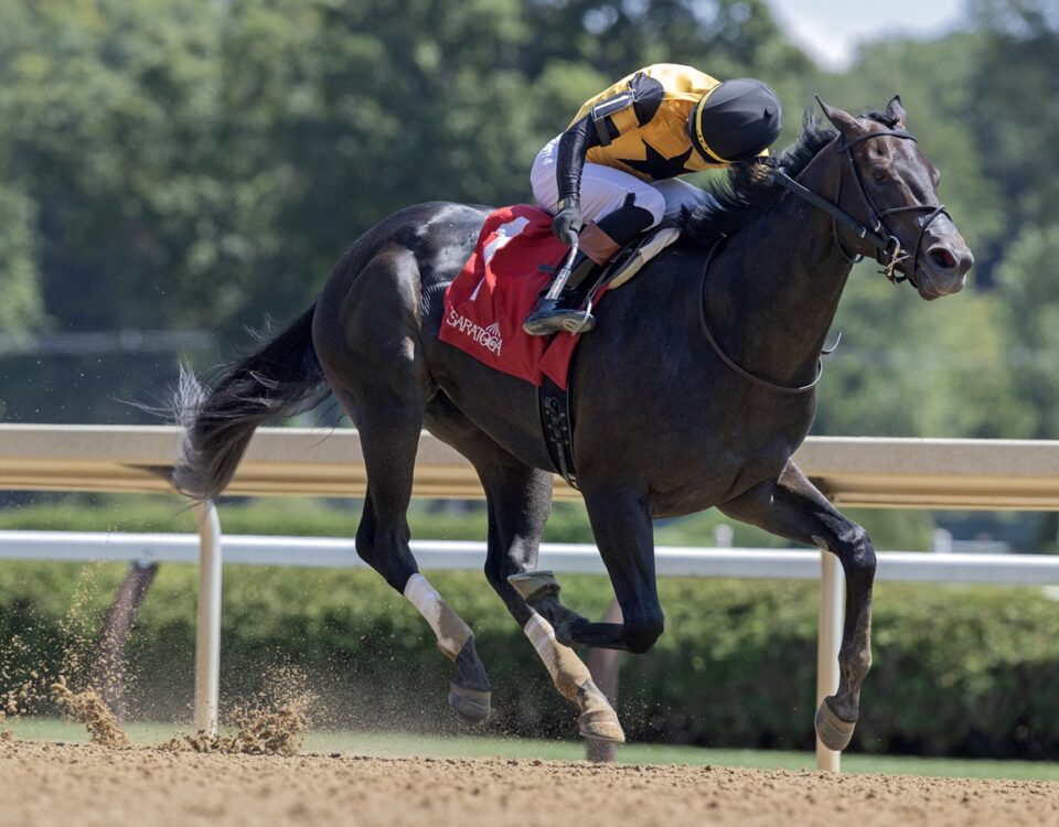 Ewing - Saratoga Special G2 - Barbara D. Livingston / Daily Racing Form