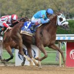 Gun Song - Beldame G2 - Coglianese Photo